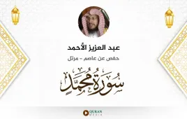 سورة محمد عبد العزيز الأحمد استماع وتحميل