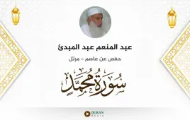 سورة محمد عبد المنعم عبد المبدئ استماع وتحميل