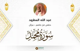 سورة محمد عبد الله المطرود استماع وتحميل