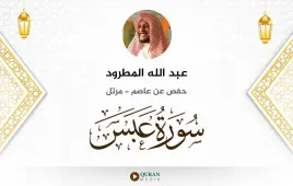 سورة عبس عبد الله المطرود استماع وتحميل