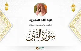 سورة التين عبد الله المطرود استماع وتحميل