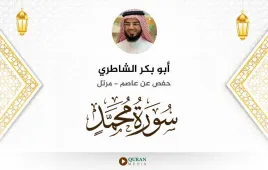 سورة محمد أبو بكر الشاطري استماع وتحميل