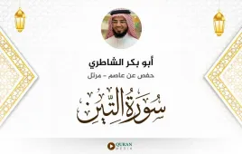 سورة التين أبو بكر الشاطري استماع وتحميل