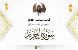 سورة التحريم أحمد محمد طاهر استماع وتحميل