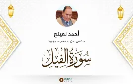 سورة الفيل أحمد نعينع مجود استماع وتحميل