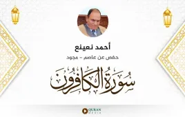 سورة الكافرون أحمد نعينع مجود استماع وتحميل