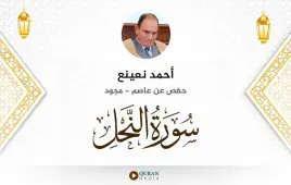 سورة النحل أحمد نعينع مجود استماع وتحميل