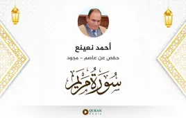 سورة مريم أحمد نعينع مجود استماع وتحميل