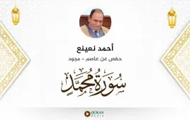 سورة محمد أحمد نعينع مجود استماع وتحميل