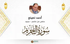 سورة التحريم أحمد نعينع مجود استماع وتحميل