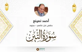 سورة التين أحمد نعينع مجود استماع وتحميل