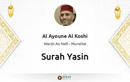 Surah Yasin by Al Ayoune Al Koshi download & Listen — Warsh An Nafi