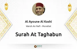 Surah At-Taghabun by Al Ayoune Al Koshi download & Listen — Warsh An Nafi