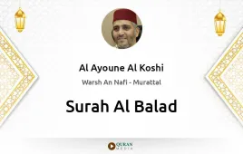 Surah Al-Balad by Al Ayoune Al Koshi download & Listen — Warsh An Nafi