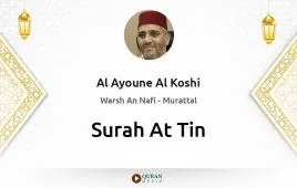 Surah At-Tin by Al Ayoune Al Koshi download & Listen — Warsh An Nafi