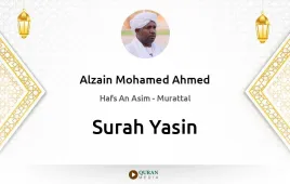 Surah Yasin by Alzain Mohamed Ahmed download & Listen