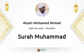 Surah Muhammad by Alzain Mohamed Ahmed download & Listen