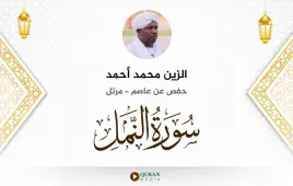 سورة النمل الزين محمد أحمد استماع وتحميل