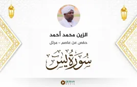 سورة يس الزين محمد أحمد استماع وتحميل