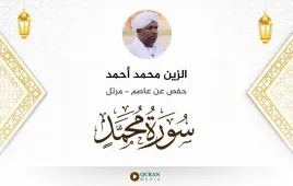 سورة محمد الزين محمد أحمد استماع وتحميل