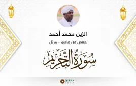 سورة التحريم الزين محمد أحمد استماع وتحميل