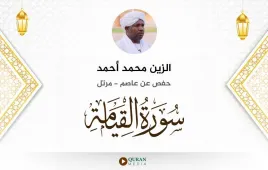 سورة القيامة الزين محمد أحمد استماع وتحميل