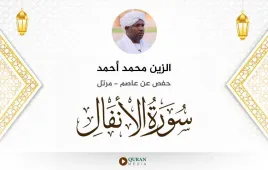 سورة الأنفال الزين محمد أحمد استماع وتحميل