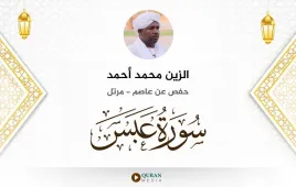 سورة عبس الزين محمد أحمد استماع وتحميل