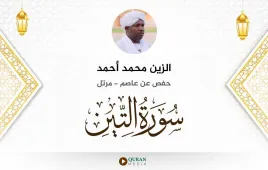 سورة التين الزين محمد أحمد استماع وتحميل