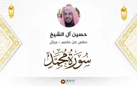 سورة محمد حسين آل الشيخ استماع وتحميل