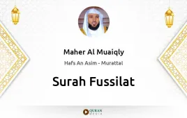 Surah Fussilat by Maher Al Muaiqly download & Listen