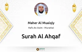 Surah Al-Ahqaf by Maher Al Muaiqly download & Listen