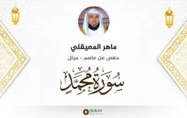 سورة محمد ماهر المعيقلي استماع وتحميل