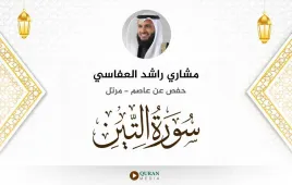 سورة التين مشاري راشد العفاسي استماع وتحميل