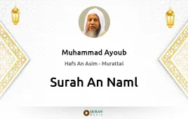 Surah An-Naml by Muhammad Ayoub download & Listen