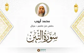 سورة التين محمد أيوب استماع وتحميل