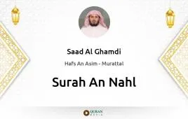 Surah An-Nahl by Saad Al Ghamdi download & Listen