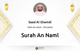 Surah An-Naml by Saad Al Ghamdi download & Listen