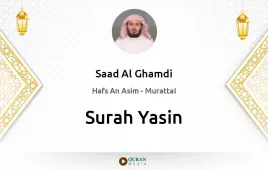 Surah Yasin by Saad Al Ghamdi download & Listen