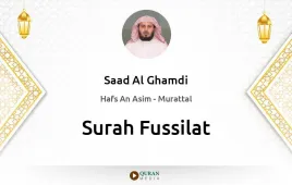 Surah Fussilat by Saad Al Ghamdi download & Listen