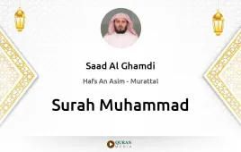 Surah Muhammad by Saad Al Ghamdi download & Listen