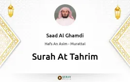 Surah At-Tahrim by Saad Al Ghamdi download & Listen