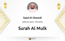 Surah Al-Mulk by Saad Al Ghamdi download & Listen