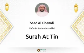 Surah At-Tin by Saad Al Ghamdi download & Listen