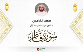 سورة فاطر سعد الغامدي استماع وتحميل