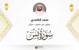 سورة يس سعد الغامدي استماع وتحميل