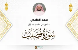 سورة فصلت سعد الغامدي استماع وتحميل