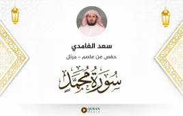 سورة محمد سعد الغامدي استماع وتحميل