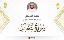 سورة التغابن سعد الغامدي استماع وتحميل