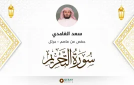 سورة التحريم سعد الغامدي استماع وتحميل